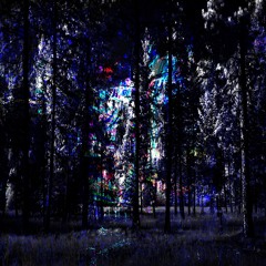 WALKING THROUGH THE ESCITAL FOREST