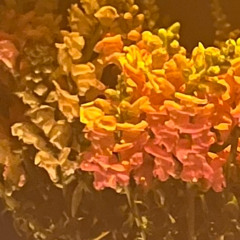 BADASSERY 6 DEC 2025