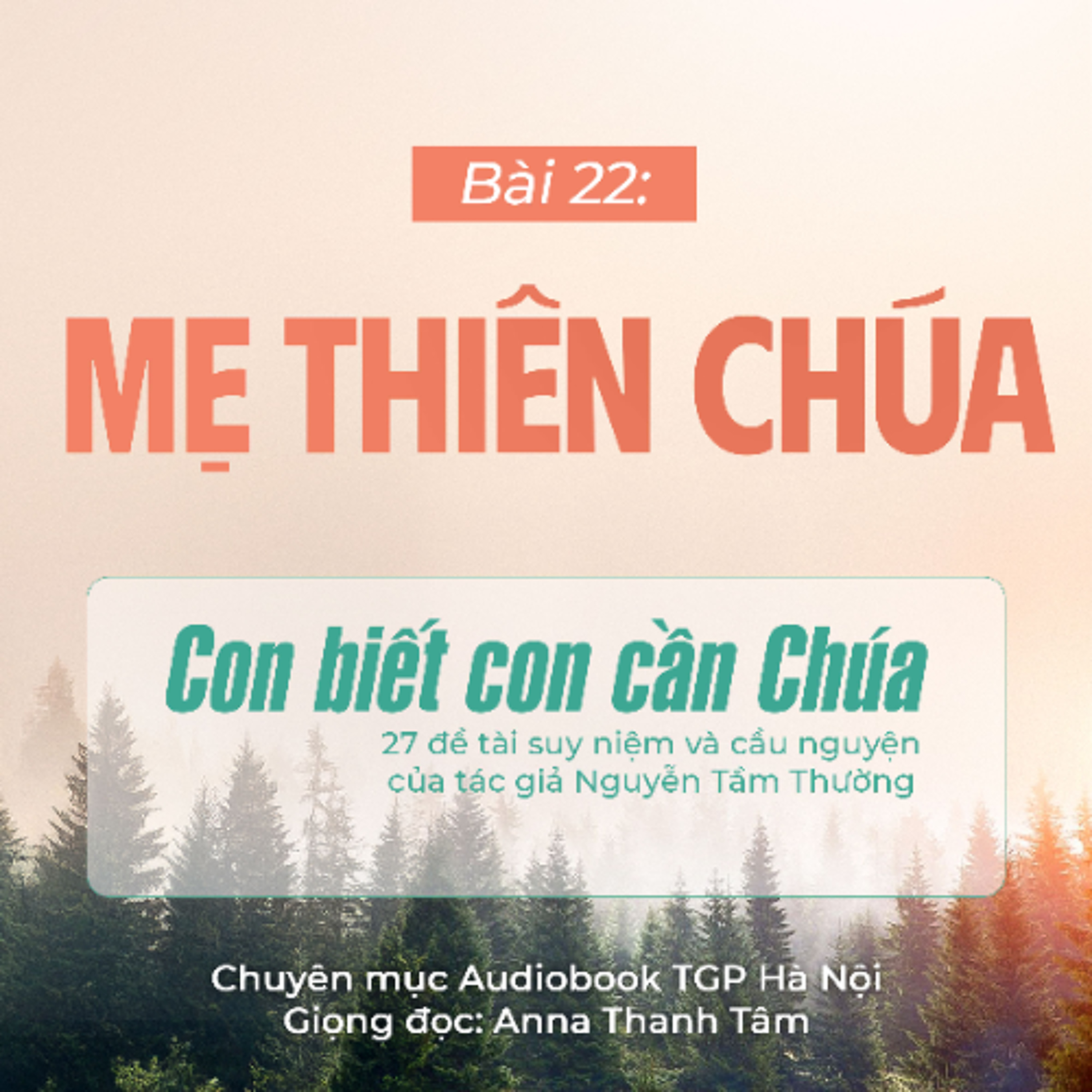 #22 Mẹ Thiên Chúa || Con biết con cần Chúa || Tác giả Nguyễn Tầm Thường