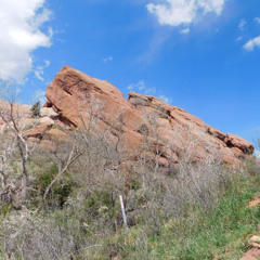 Color Colorado -  Jammin Jay