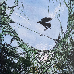 a net to catch the sun in