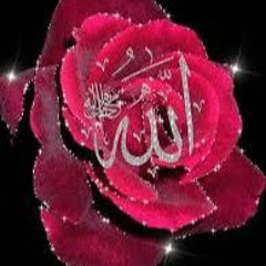 Allah The Almighty - By 'Aasiq - Ul - Rasul