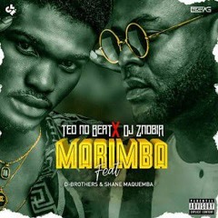 Teo No Beat feat. Dj Znobia, D-Brothers &  Shane Maquemba - Marimba