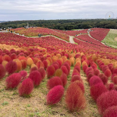 2025-11-15 新城財經台 健康地球人 衍空法師 劉婉芬