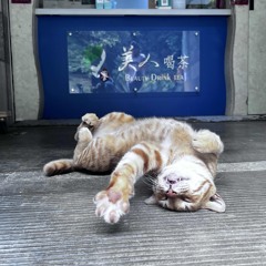 FOREVER 25: ON Voyage durch Neustockland KaterBlau 2026