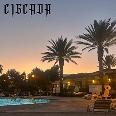 MURDERED IN MANASSAS