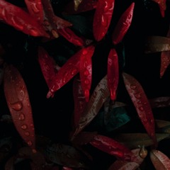 Forgetting Your Name