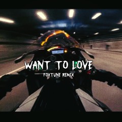 Want To Love - HARDTEKK REMIX