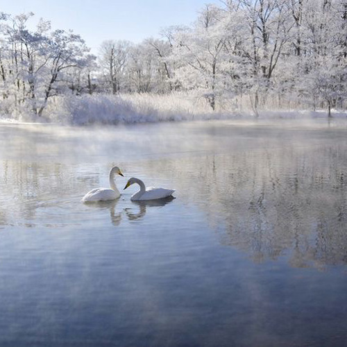 the light shot diamonds from his eyes//like a tattoosade sped up