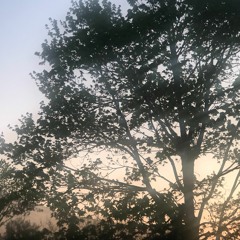 Jane Remover @ Goop Week deadAir Takeover