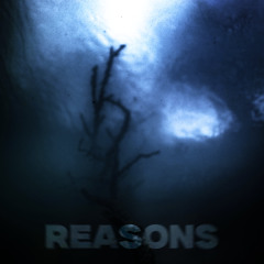 There Were Reasons