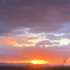 sun