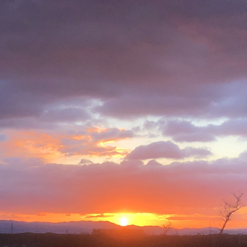 sun