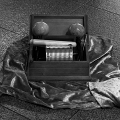 paraje ~ de Asís + Areal (2023)