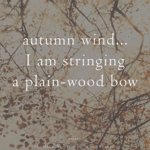 A Soft Autumn Wind (naviarhaiku563)