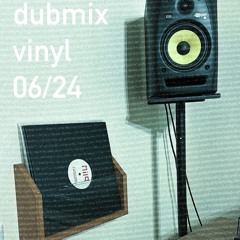dubmix vinyl 06/24