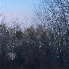 Бесконечное лето