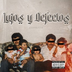 Lujos y Defectos