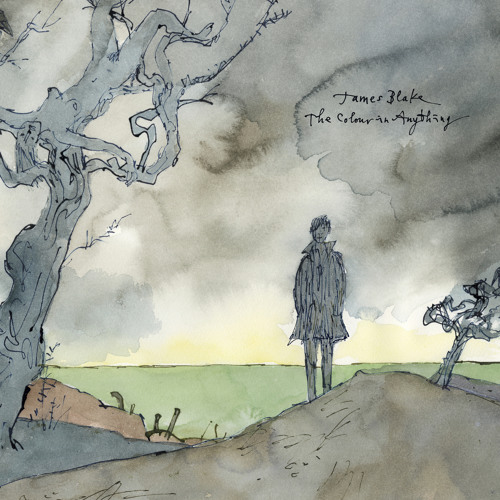 I Need A Forest Fire (feat. Bon Iver)