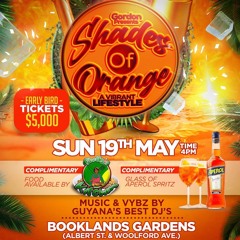 Shades OF Orange PT1 DJ DENZIL X YUNG GENIUS