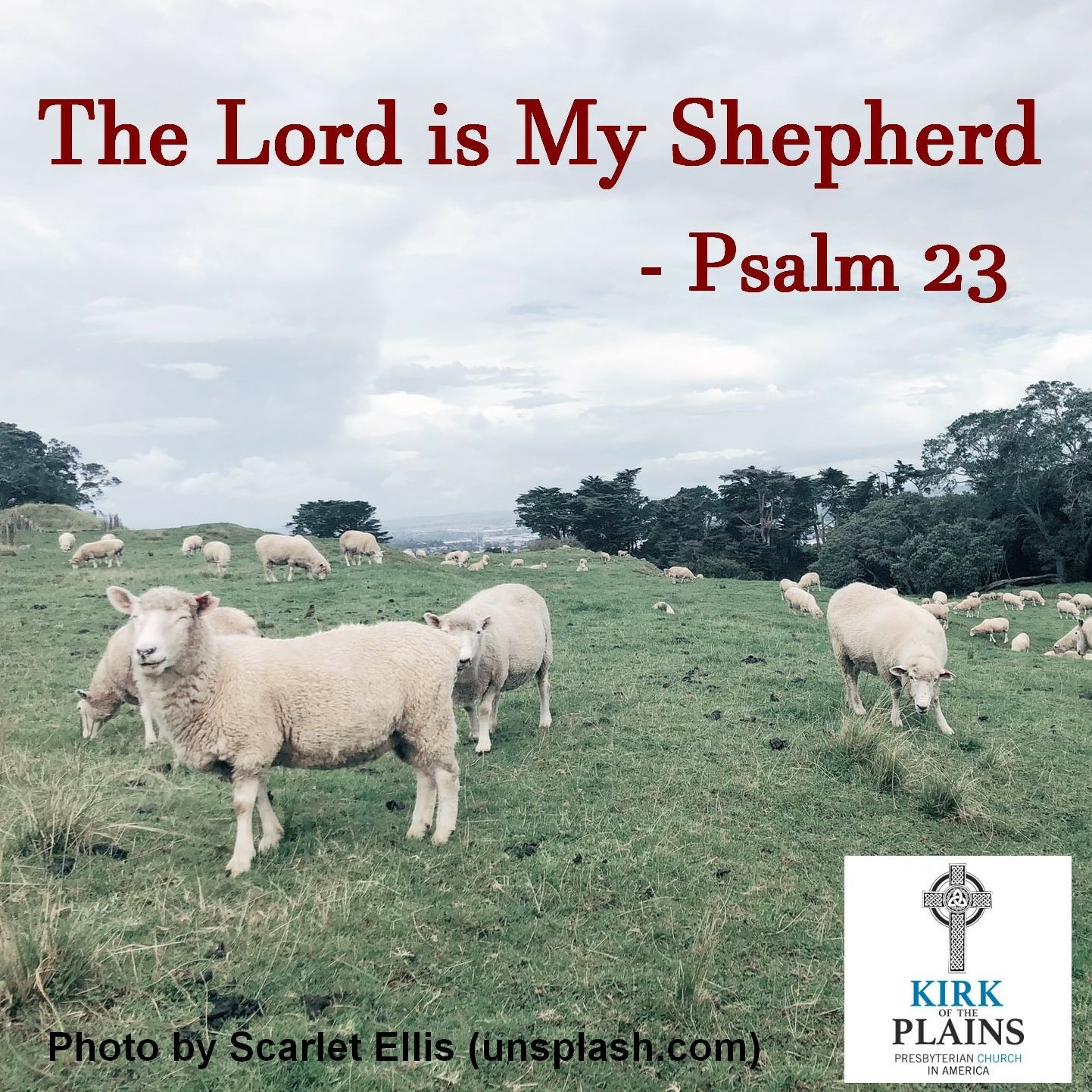 At Home With The Shepherd.m4a episode artwork