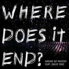 Where does it end? (feat. David Taro)