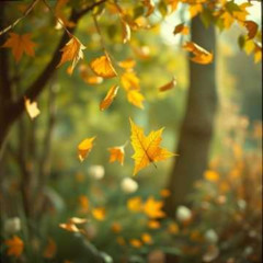 Dj.DamianR - Liście w ogrodach (Wiersze Romy Lemańskiej)