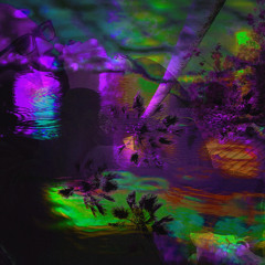 Palm Trees Freestyle