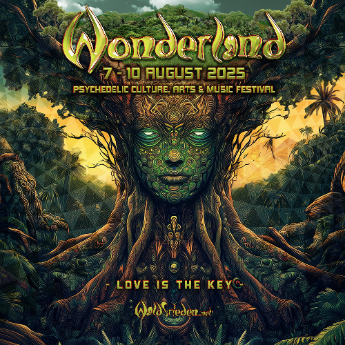 Yannick Kuhnle @ Waldfrieden Wonderland 2025 Backyard Stage Closing