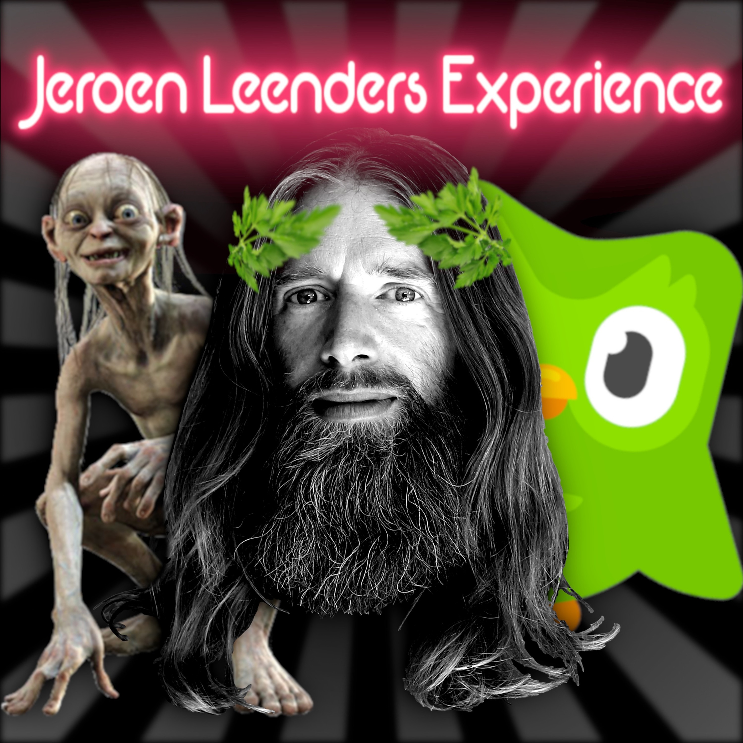 Jeroen Leenders Experience