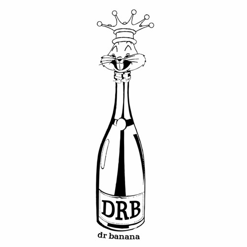 DRB17 Clips