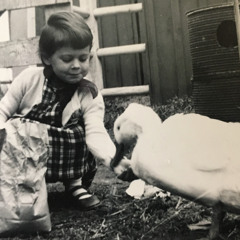 Chill Pill 2 December 2025