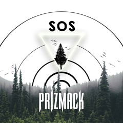 s o s (sensation of sound)