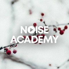 Dj Tyler - Noise Academy Level 2 - Dinnington (FX Madness)