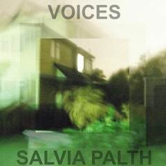 voice vi (empty house)