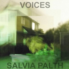 voice viii (rebuild ii)