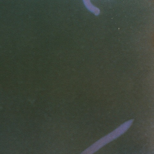 Into Your Dub (oma totem edit)