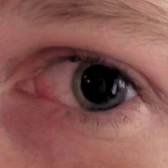 узы моба [pharaoh hoodtrap remix]