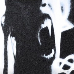 SLASHER MOB / / FORBIDDEN PARIS