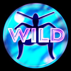 Wild Megamix (First Draft)