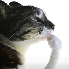 Jersey Club Banger Mix