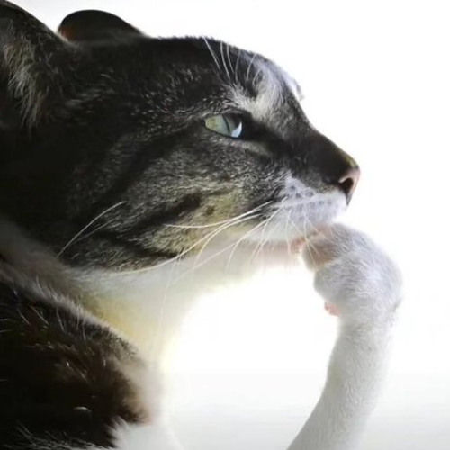 Jersey Club Banger Mix