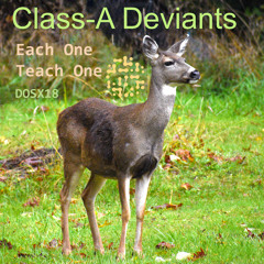 Each One Teach One (Liviuc Remix)