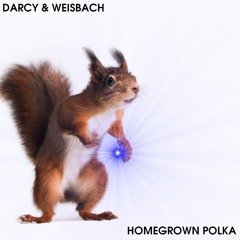 Darcy & Weisbach - Homegrown Polka