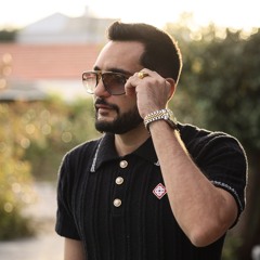 הפרויקט של רביבו   אלה