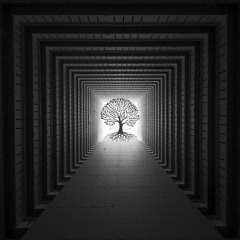Tunnel Vision