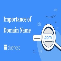 Domain Blue Host: Your Gateway to Digital Excellence