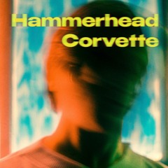 Hammerhead Corvette