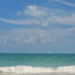 Sun & Surf | 03-05-25