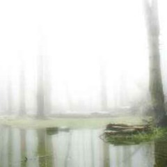 κανενας αλλος / παντα μαζι